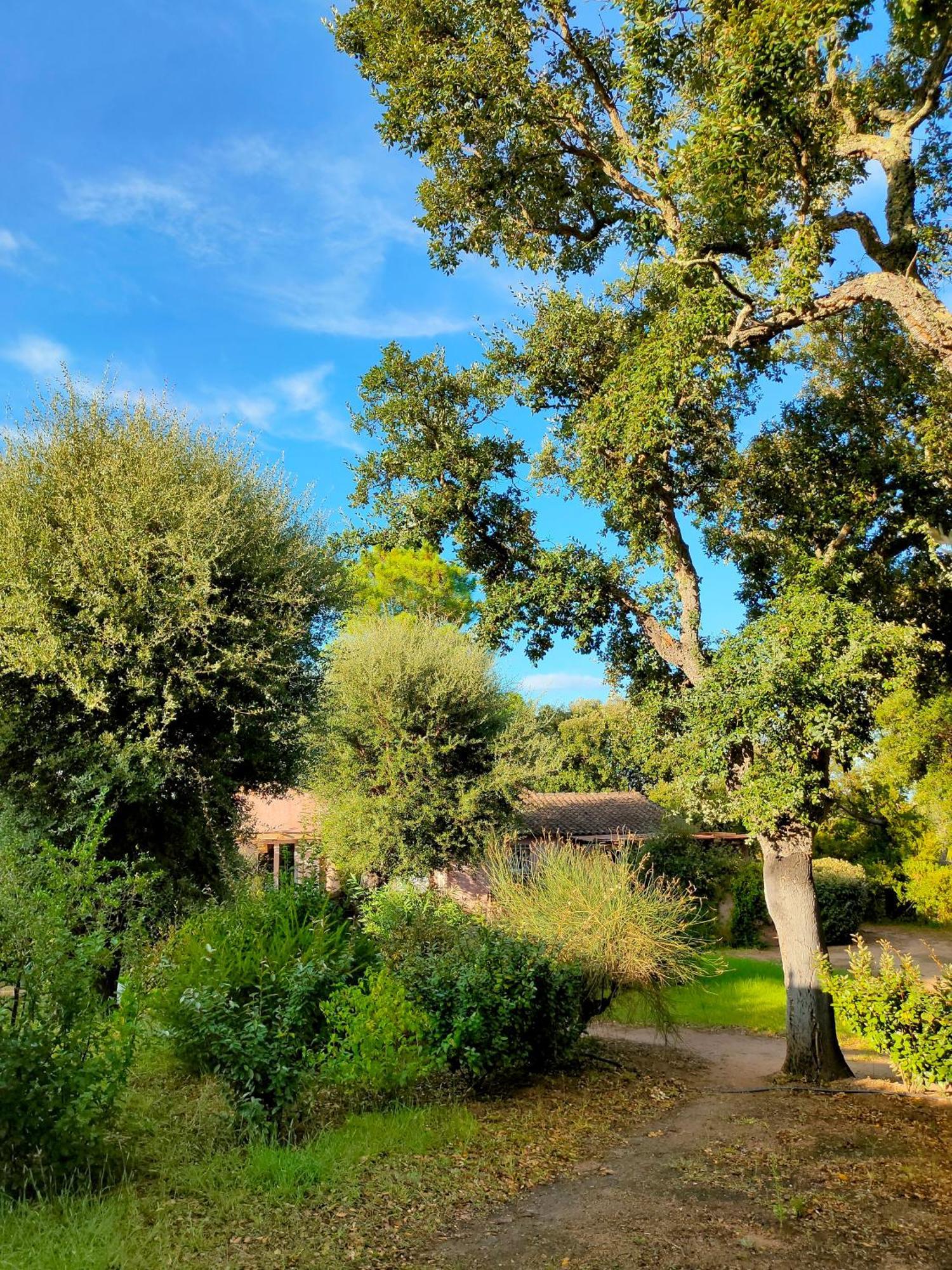 Residence Les Cigales Πόρτο Βέκιο Εξωτερικό φωτογραφία